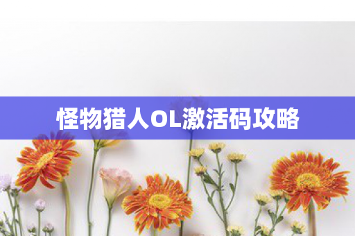 怪物猎人OL激活码攻略图片