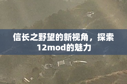 探索12mod的魅力图片