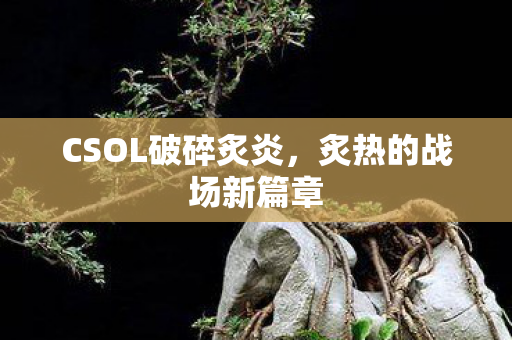 CSOL破碎炙炎图片