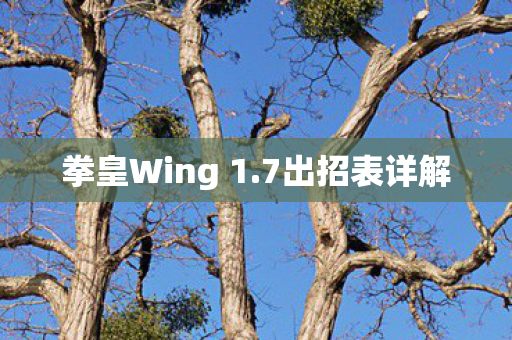 拳皇Wing 1图片