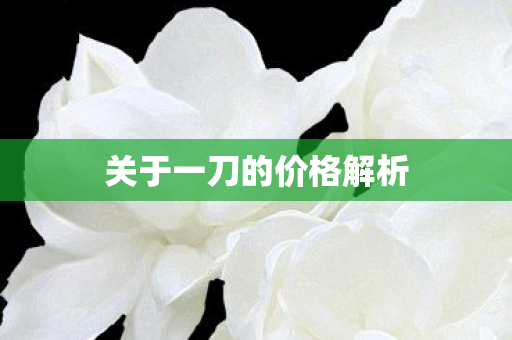 关于一刀的价格解析图片