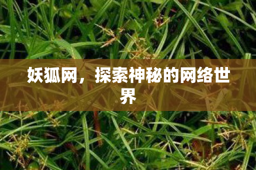 探索神秘的网络世界图片
