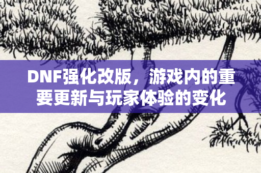 游戏内的重要更新与玩家体验的变化图片