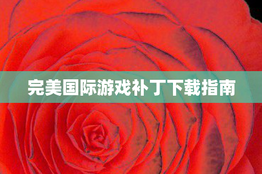完美国际游戏补丁下载指南图片