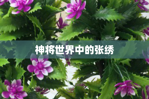 神将世界中的张绣图片