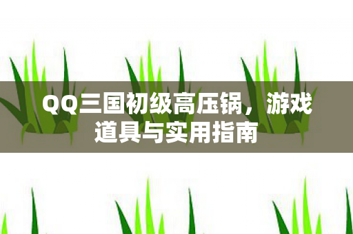 QQ三国初级高压锅图片