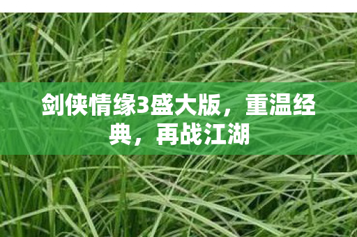剑侠情缘3盛大版图片