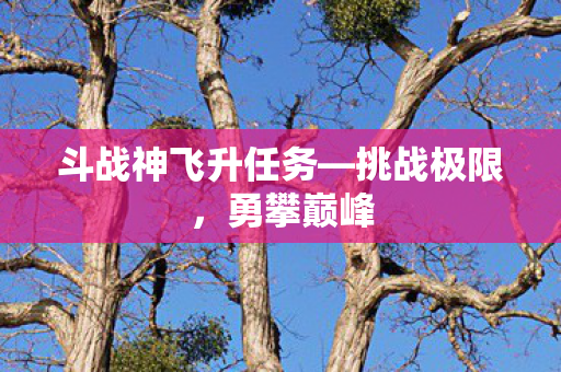 斗战神飞升任务图片