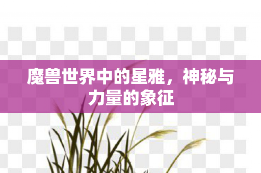 魔兽世界中的星雅图片