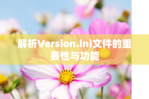 ini文件的重要性与功能图片