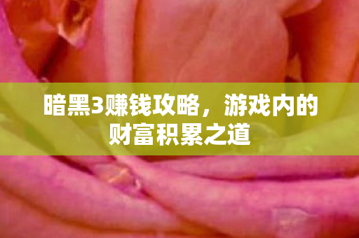 游戏内的财富积累之道图片