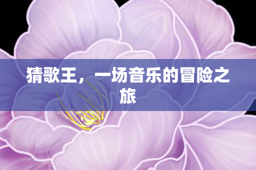 一场音乐的冒险之旅图片