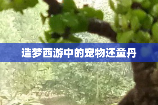 造梦西游中的宠物还童丹图片