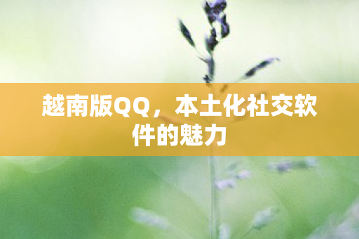 本土化社交软件的魅力图片