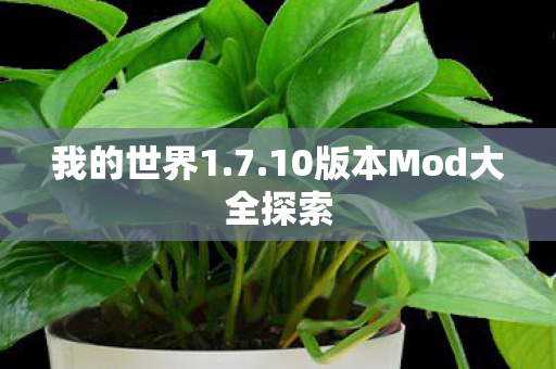 10版本Mod大全探索图片