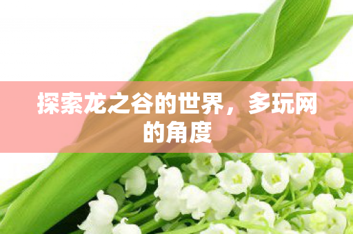 探索龙之谷的世界图片
