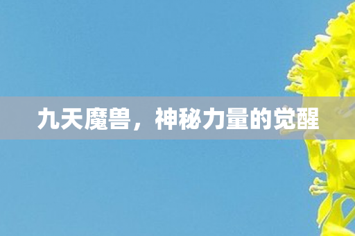神秘力量的觉醒图片
