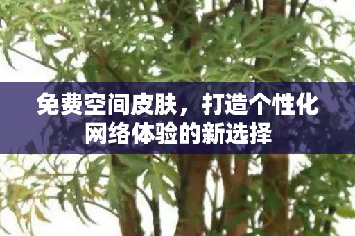 打造个性化网络体验的新选择图片