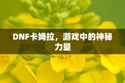 游戏中的神秘力量图片