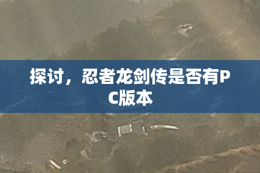 忍者龙剑传是否有PC版本图片