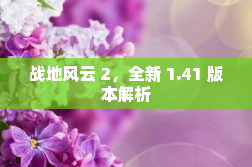 41 版本解析图片