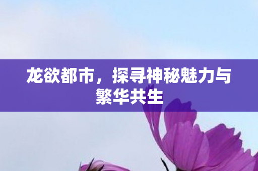 探寻神秘魅力与繁华共生图片