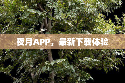 最新下载体验图片