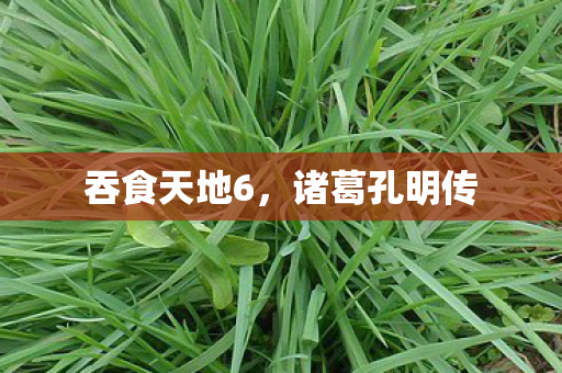 吞食天地6图片