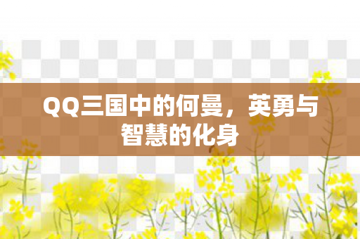 QQ三国中的何曼图片