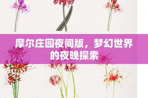 梦幻世界的夜晚探索图片