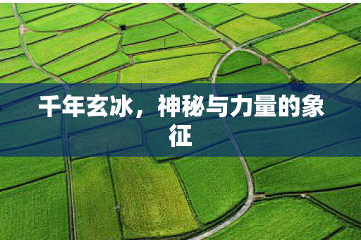 神秘与力量的象征图片