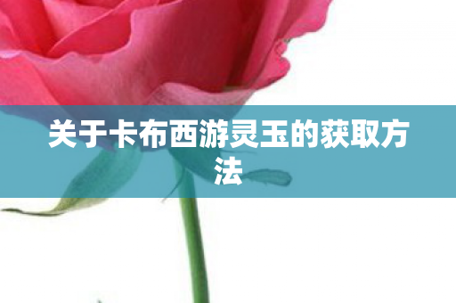关于卡布西游灵玉的获取方法图片