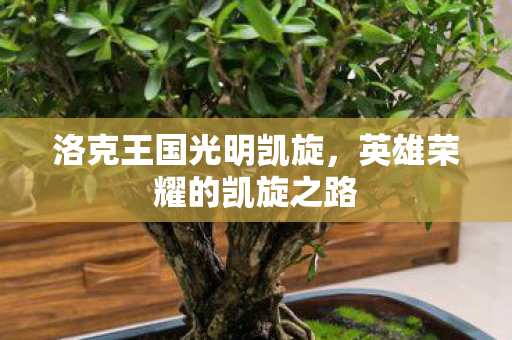 英雄荣耀的凯旋之路图片