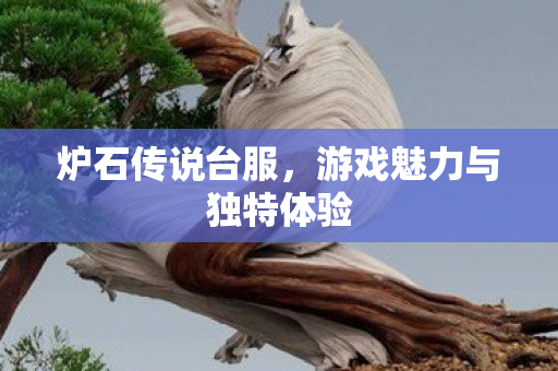 游戏魅力与独特体验图片