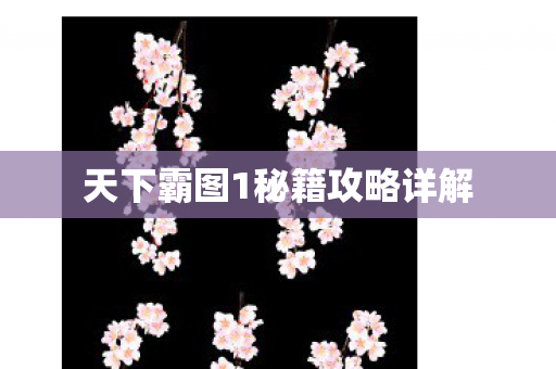天下霸图1秘籍攻略详解图片