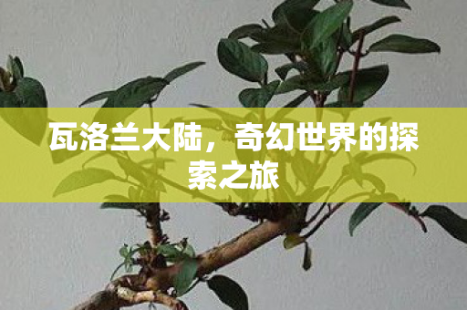奇幻世界的探索之旅图片