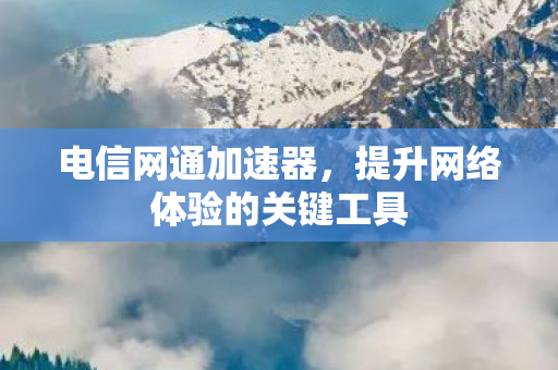 提升网络体验的关键工具图片