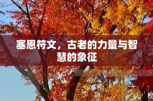 古老的力量与智慧的象征图片