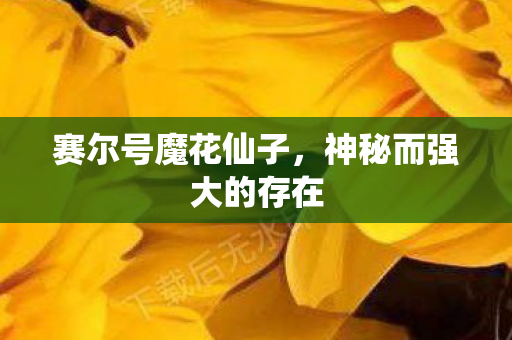 神秘而强大的存在图片