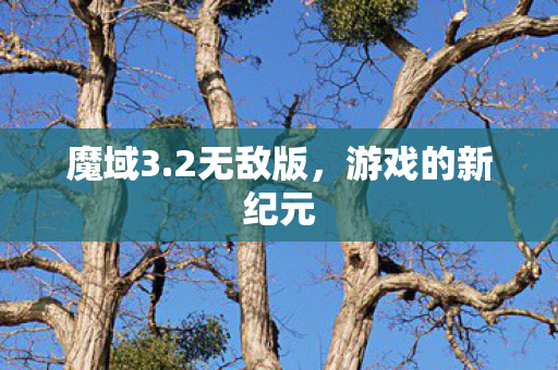 游戏的新纪元图片