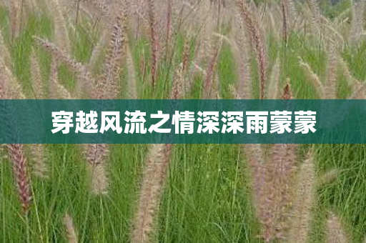 穿越风流之情深深雨蒙蒙图片