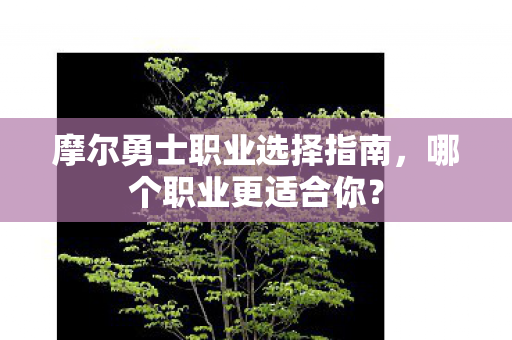 摩尔勇士职业选择指南图片