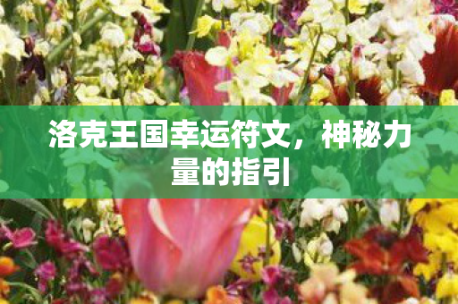 洛克王国幸运符文图片