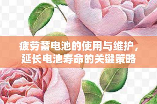 疲劳蓄电池的使用与维护图片