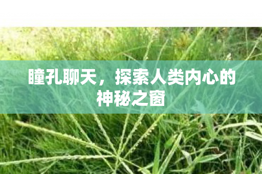 探索人类内心的神秘之窗图片