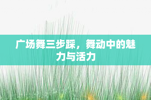 舞动中的魅力与活力图片