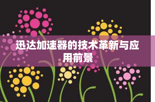 迅达加速器的技术革新与应用前景图片