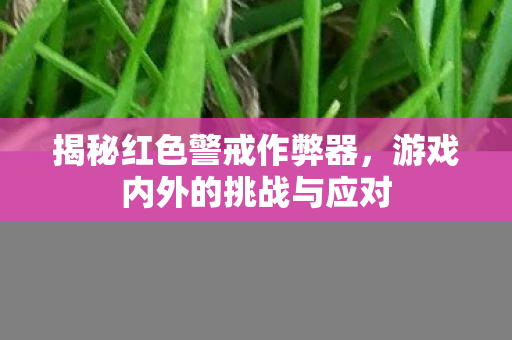 游戏内外的挑战与应对图片