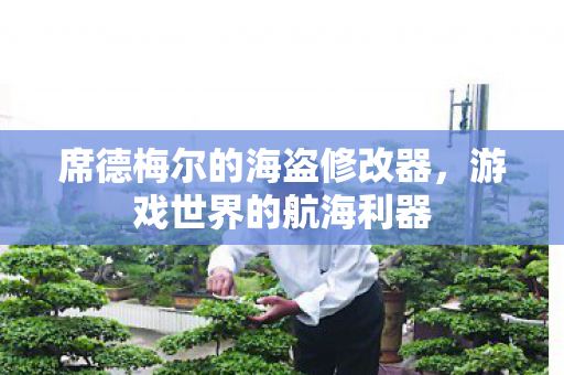 席德梅尔的海盗修改器图片