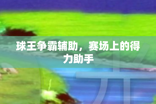 赛场上的得力助手图片